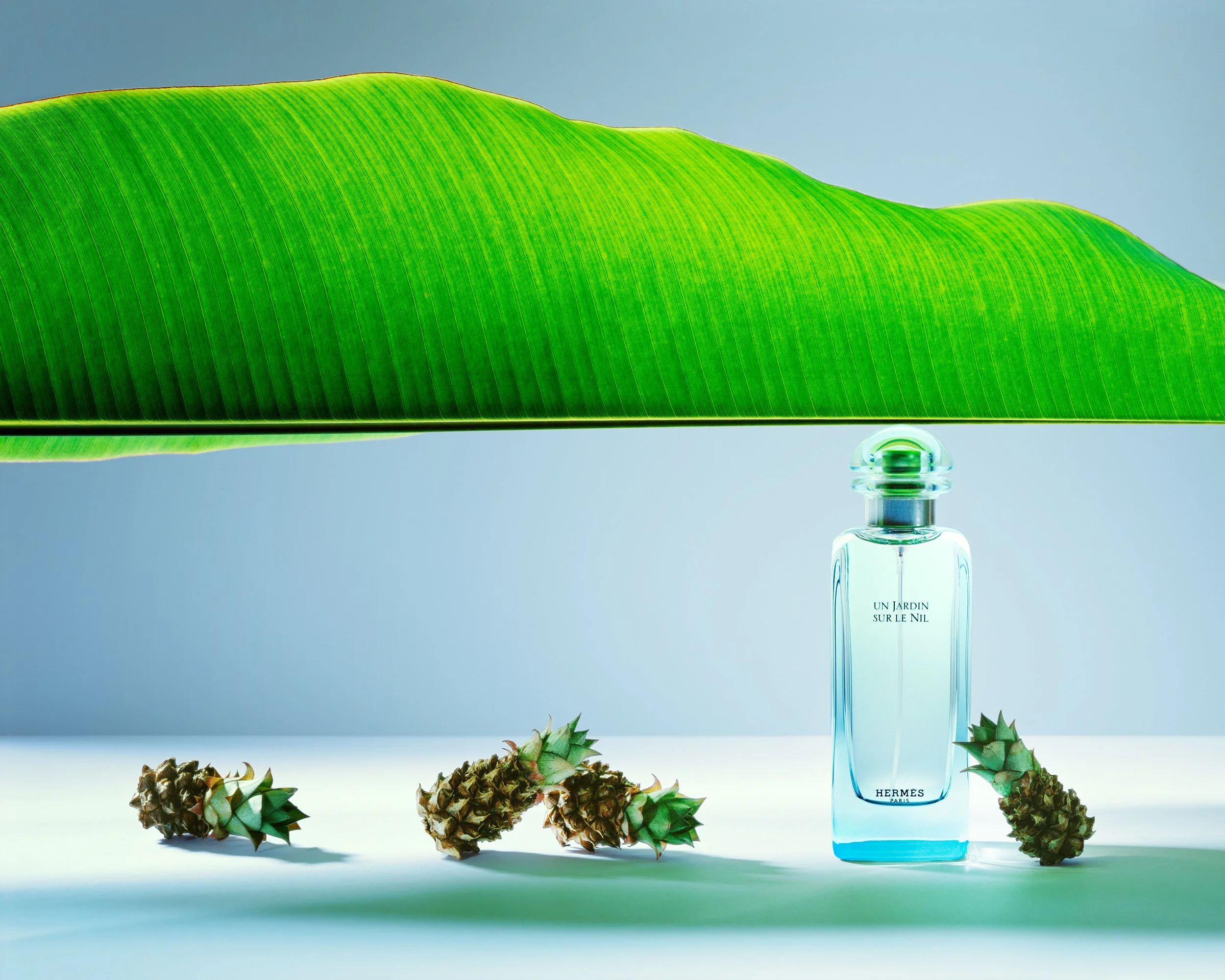 AKIRA_PERFUME_HERMES_UN JARDIN SUR LE NIL_CONTACT.jpg