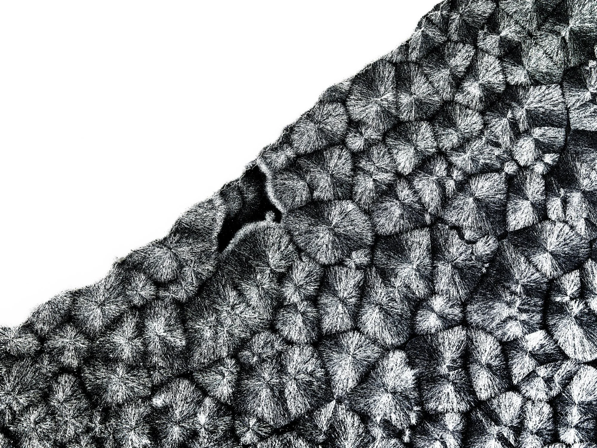 COSMETIC_TEXTURE_BLACK_WHITE_FINAL_CONTACT.jpg