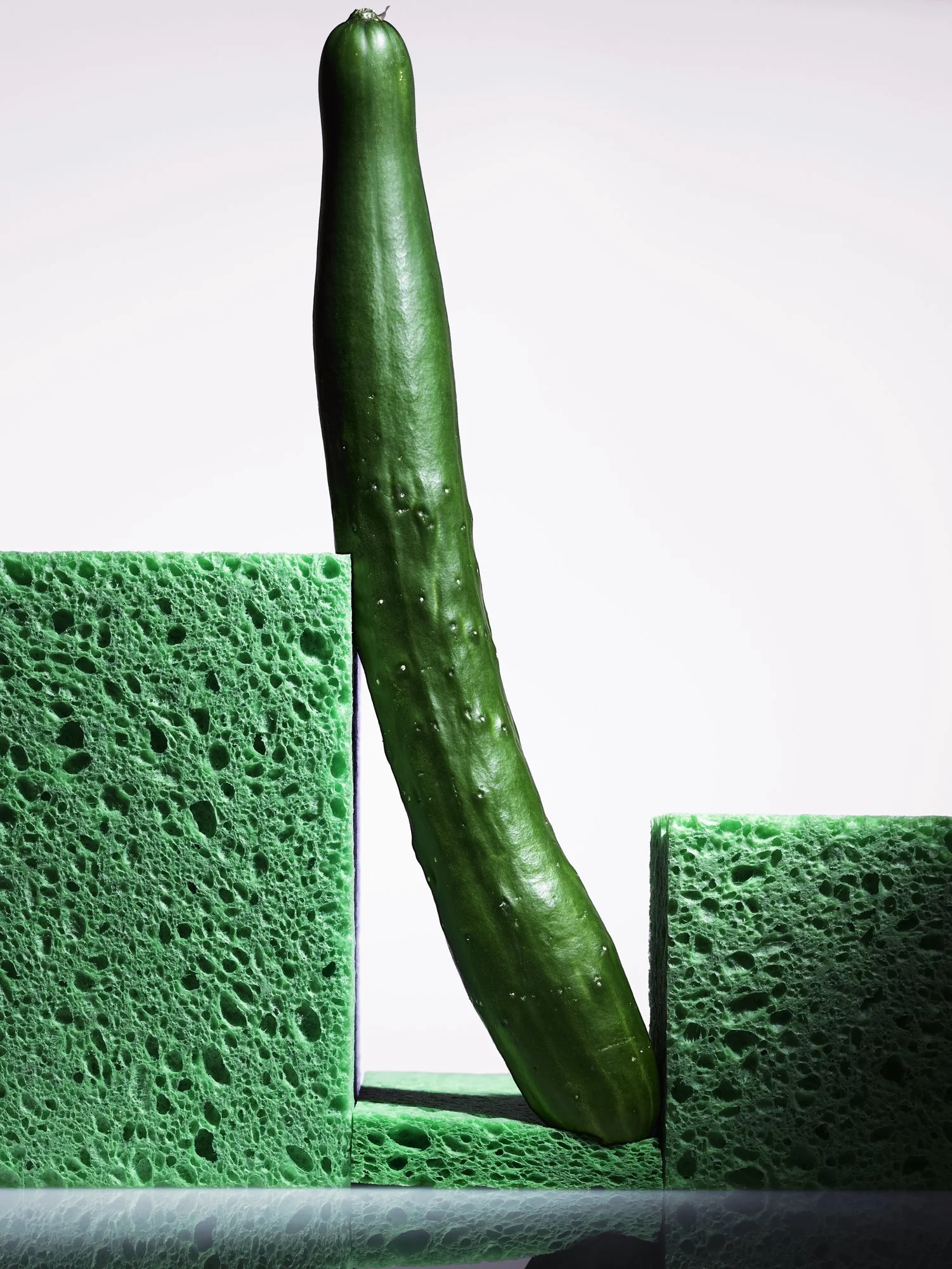 SPONGE_CUCUMBER_CONTACT.jpg