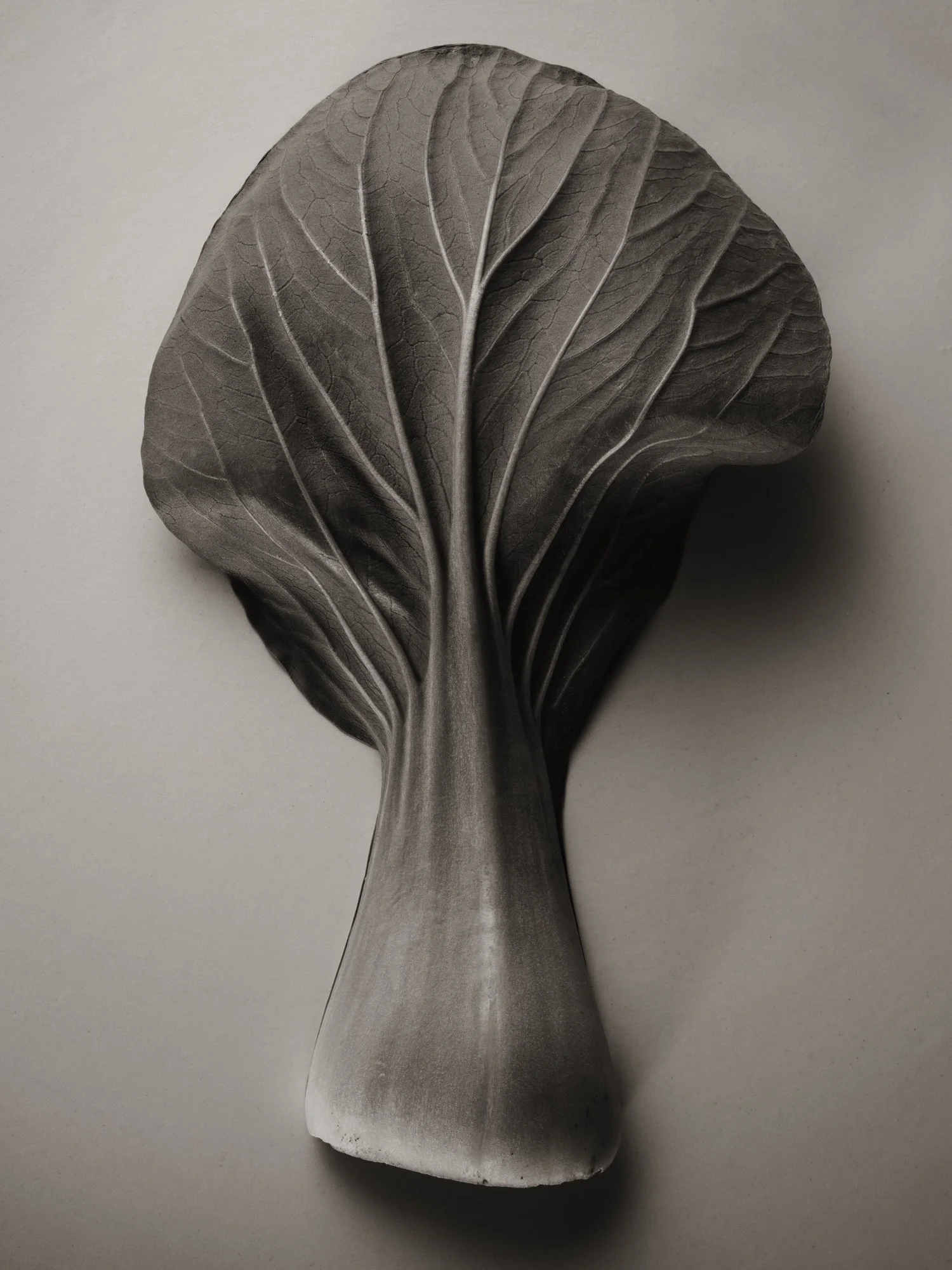 STILL-LIFE_1014202229453_CONTACT.jpg