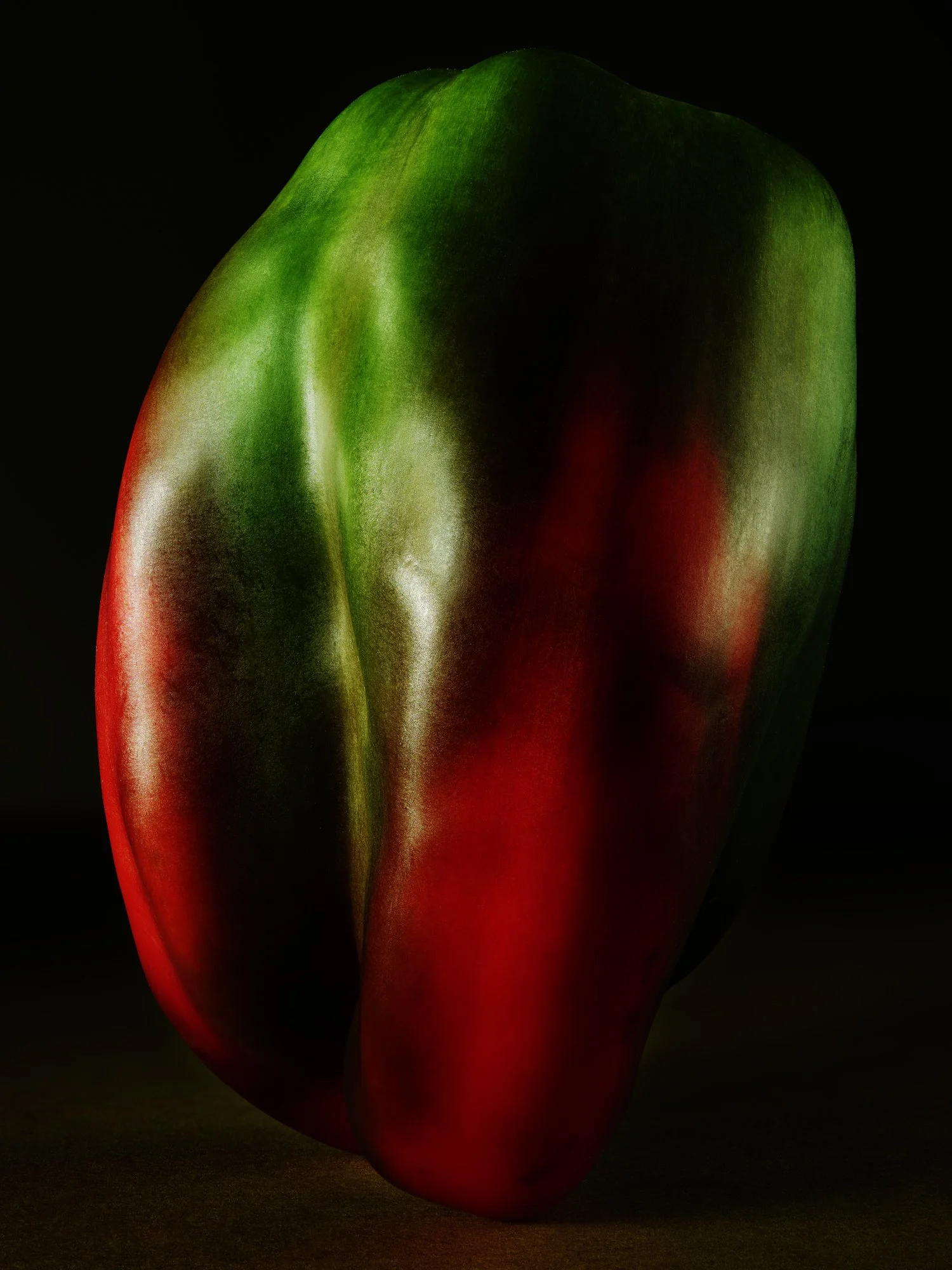 STILL-LIFE_04262023_56480_CONTACT.jpg