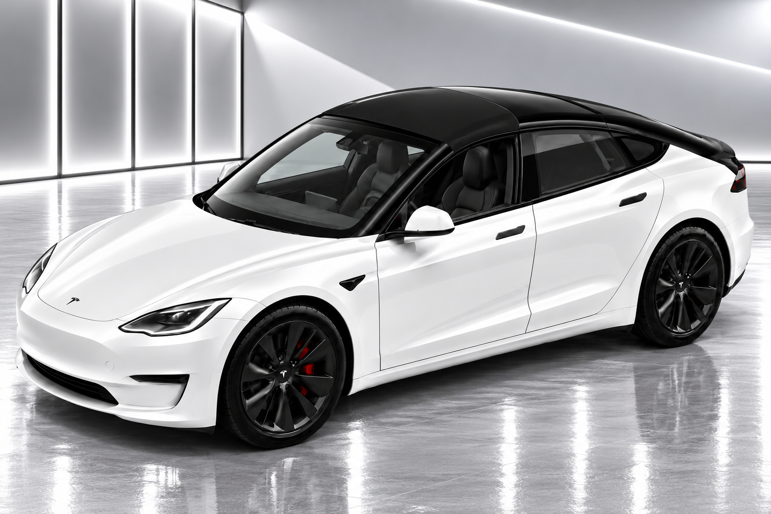 4 Tesla MS Roadster whtb.png