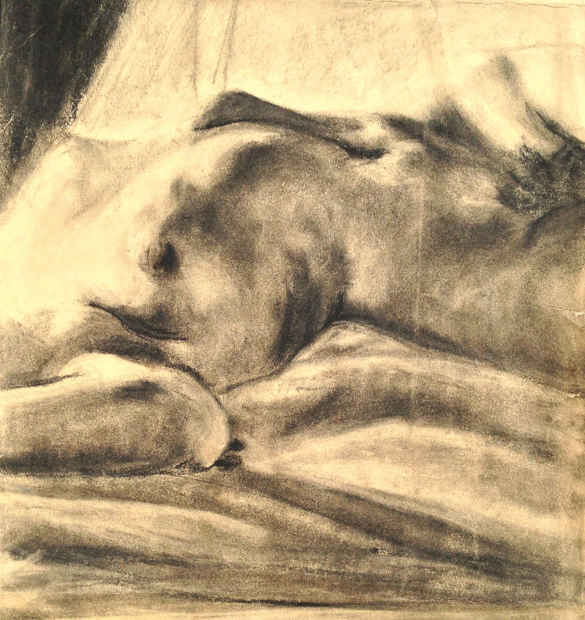 LIFE DRAWING - St. Martin's