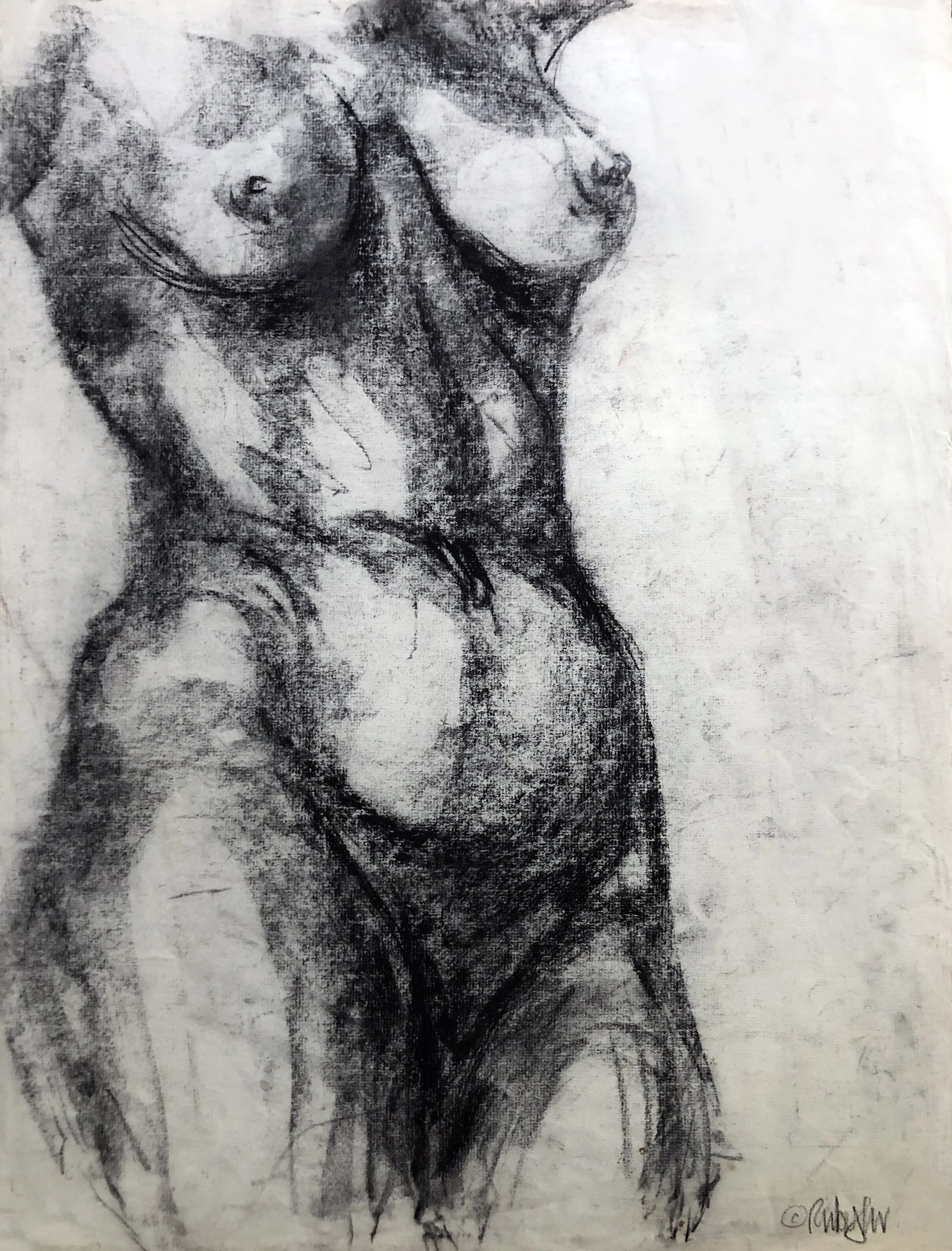 NORTH BEACH NUDE