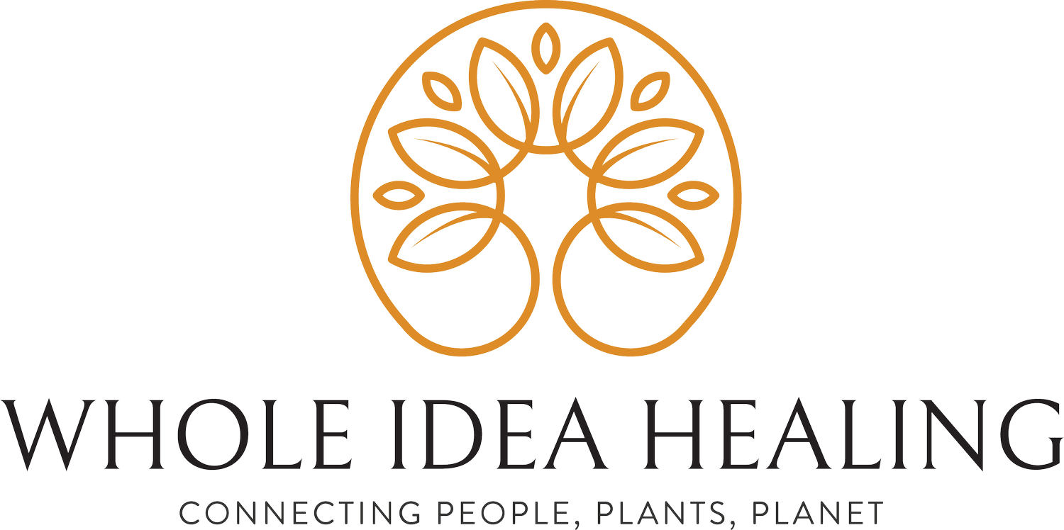 WHOLE IDEA HEALING