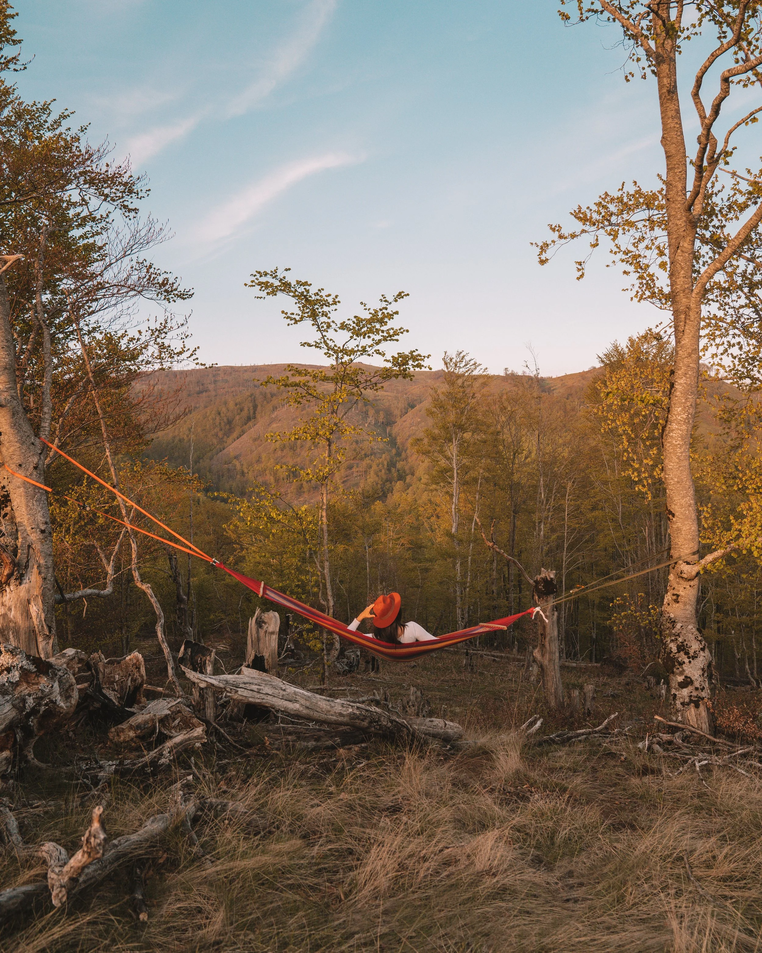 Person relaxing in a red hammock tied between trees in a forest, with a mountainous background and clear sky.