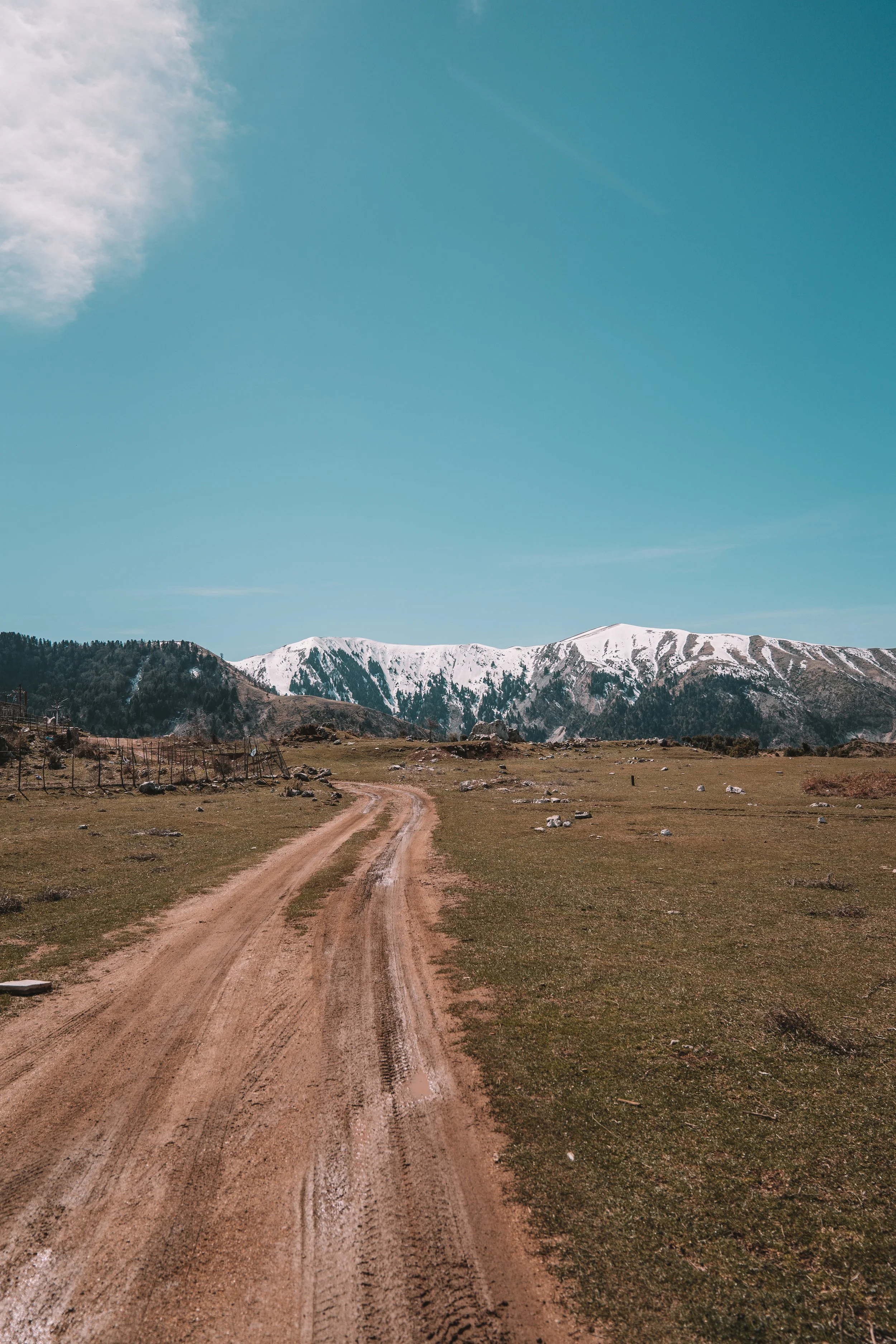 Dirt road leading through a grassy field towards snow-capped mountains under a clear blue sky.