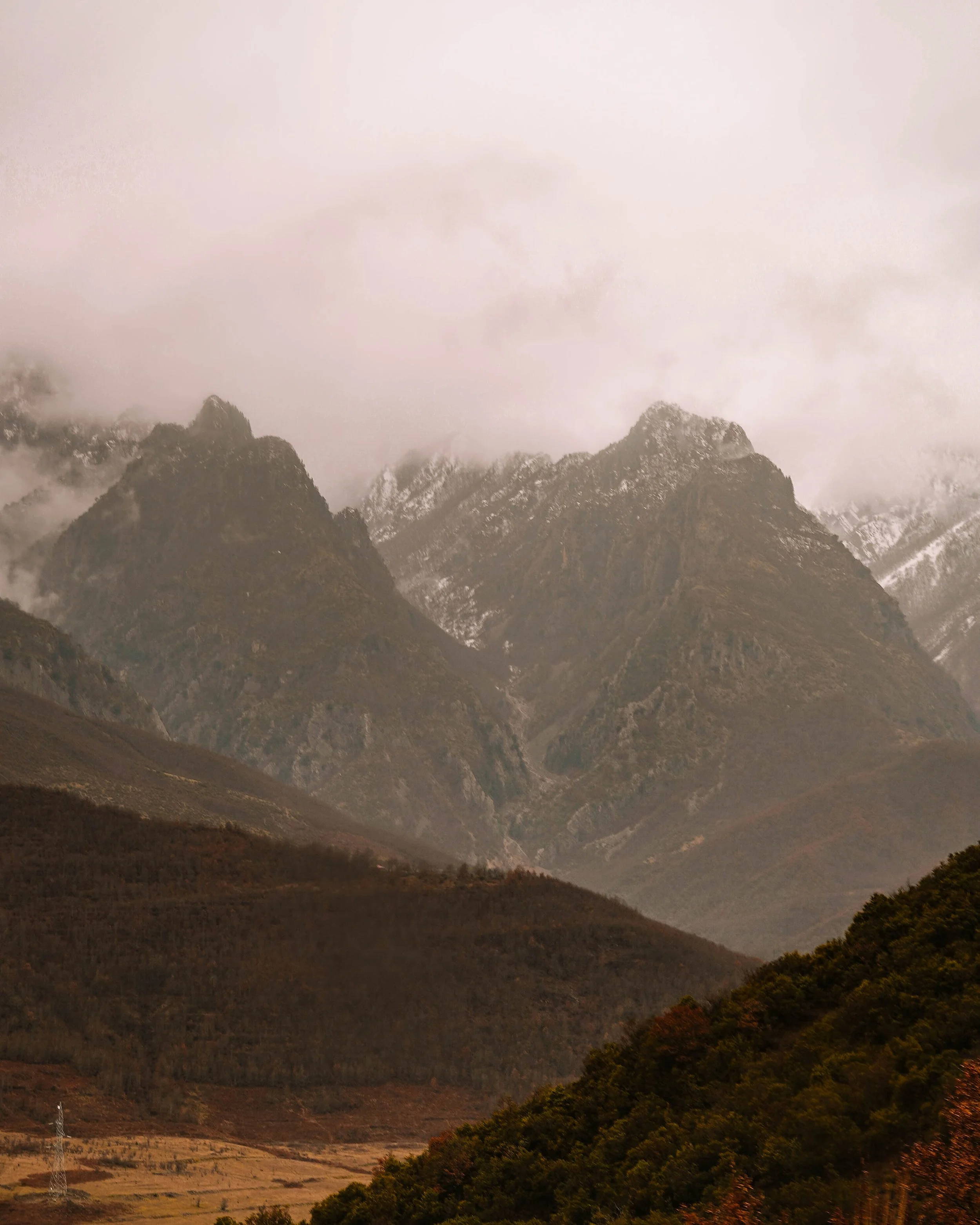 Snow-capped mountains covered in mist with a forested valley in the foreground.