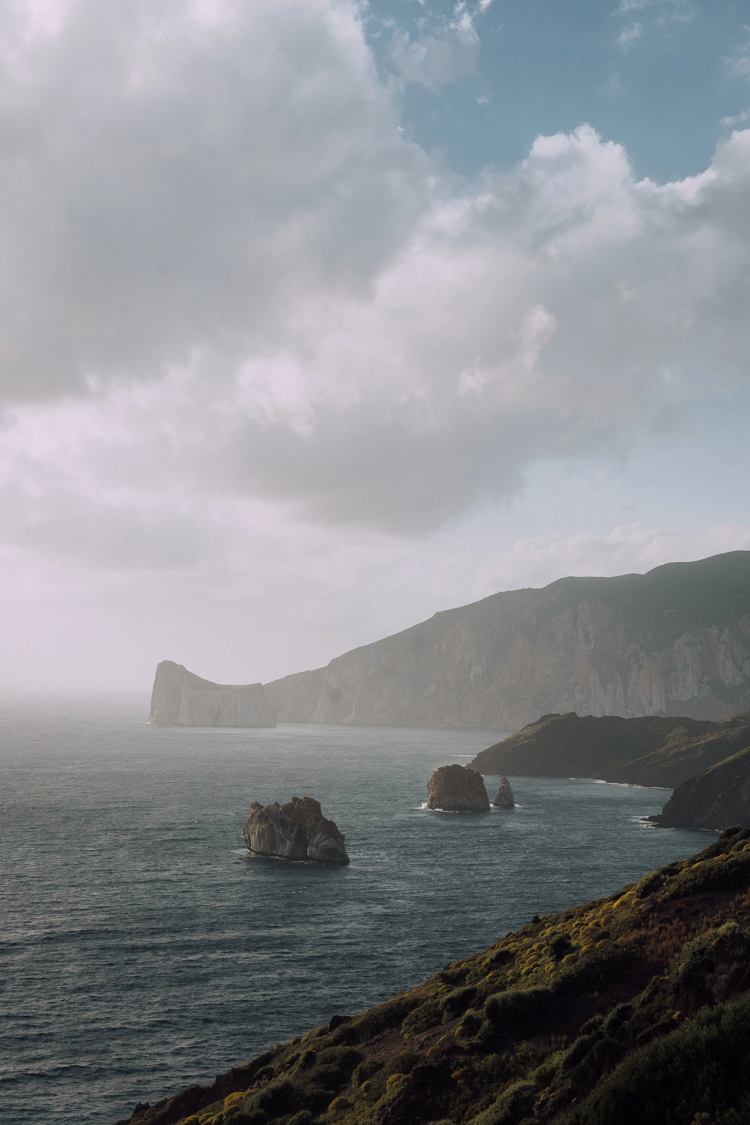 Coastal landscape with rocky cliffs and sea stacks under cloudy sky