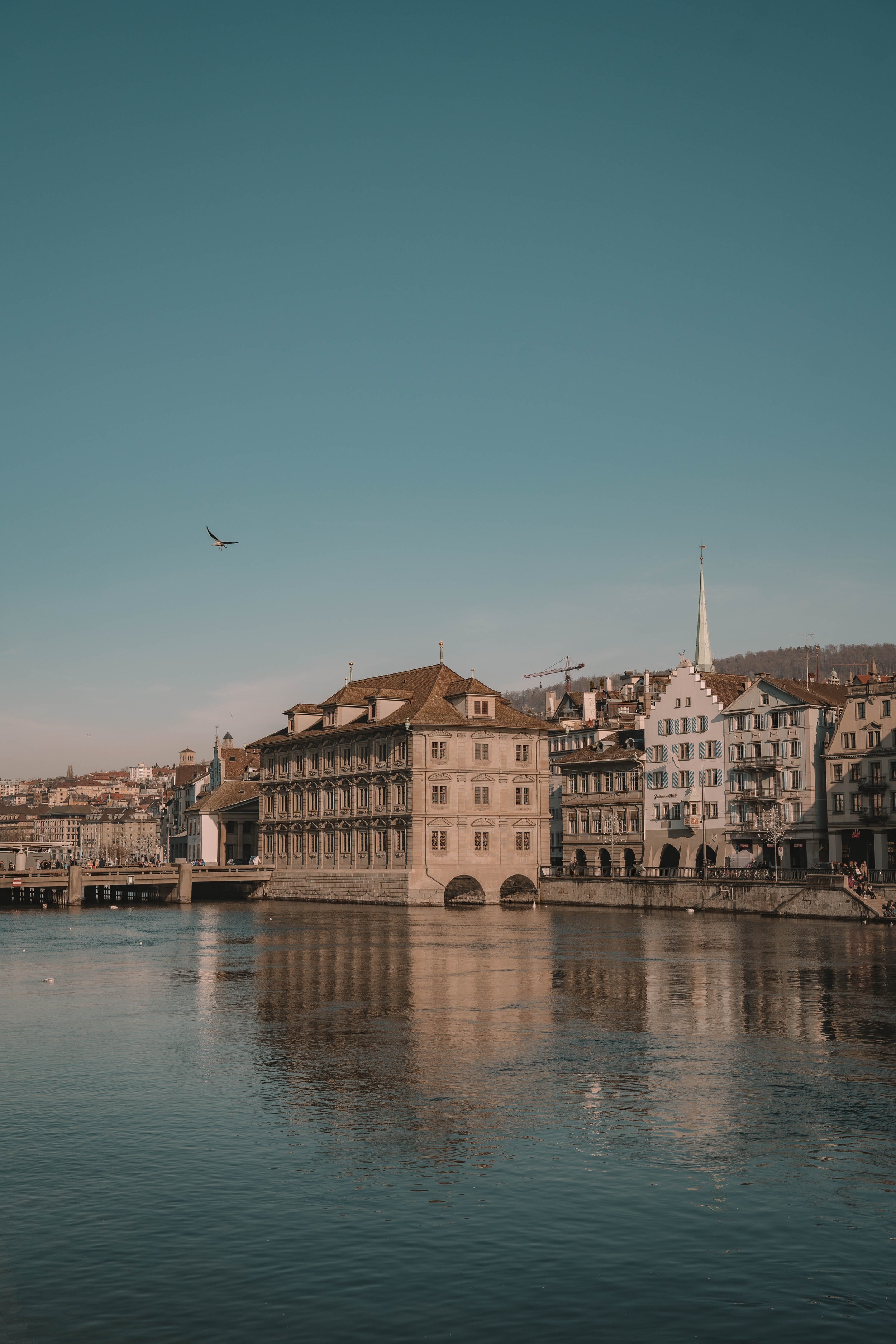 Historic buildings by a river in a European cityscape with a flying bird and a clear sky.
