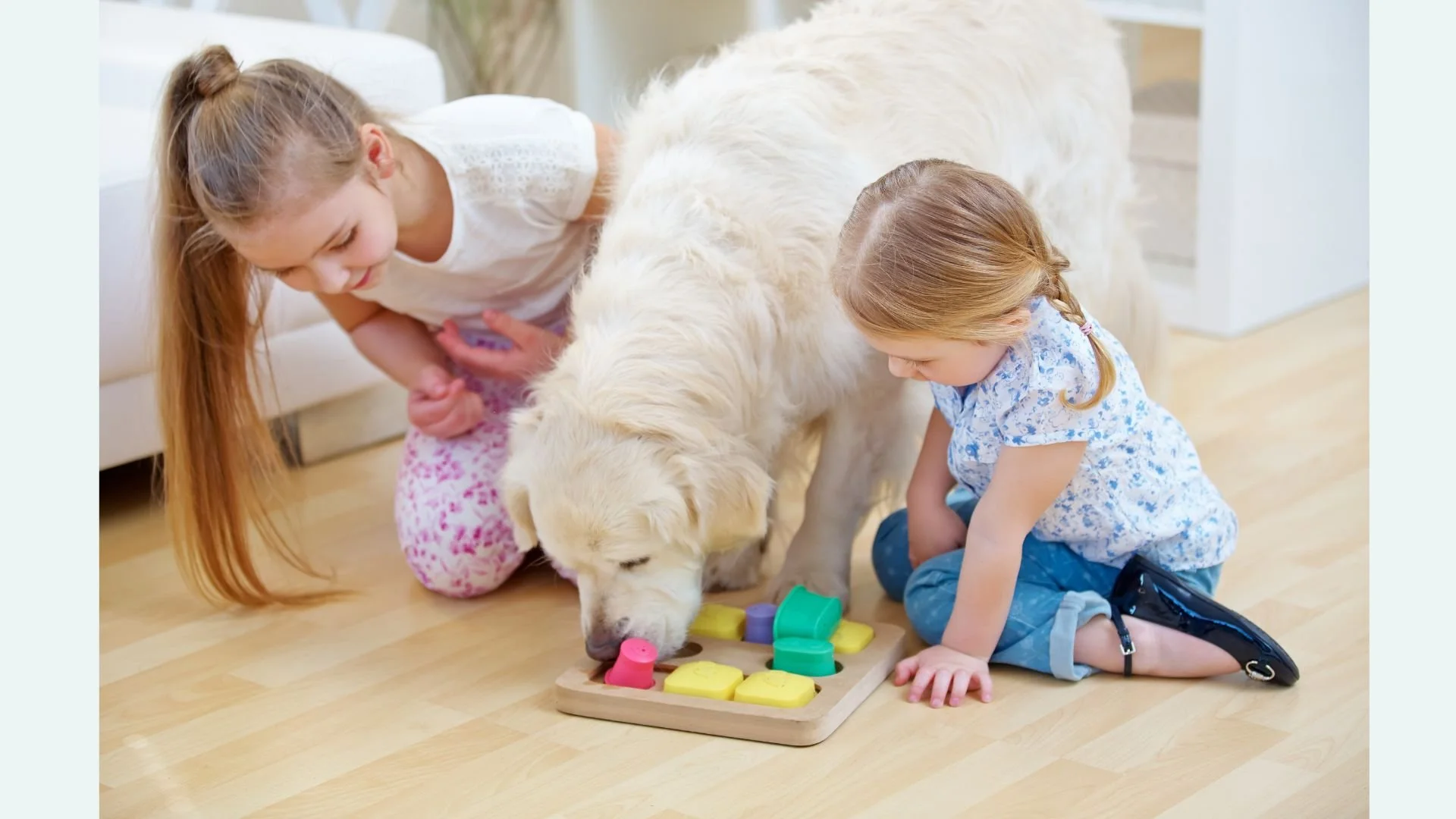 Cleaning Safety Tips for Homes with Young Children or Pets