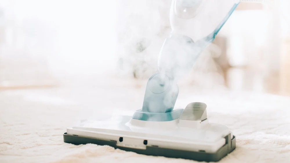 The Benefits of Steam Cleaning for a Hygienic Home — Happy Life ...