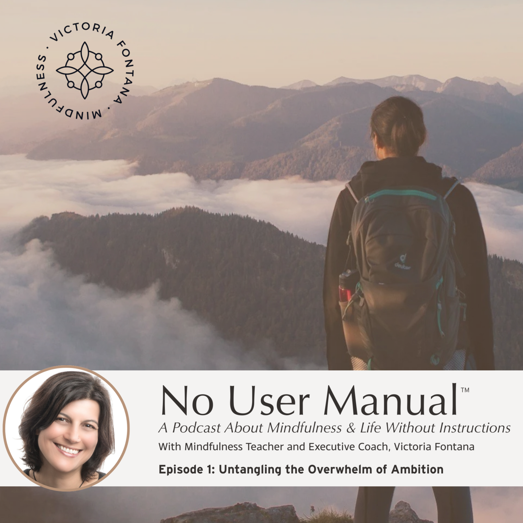 Untangling the Overwhelm of Ambition