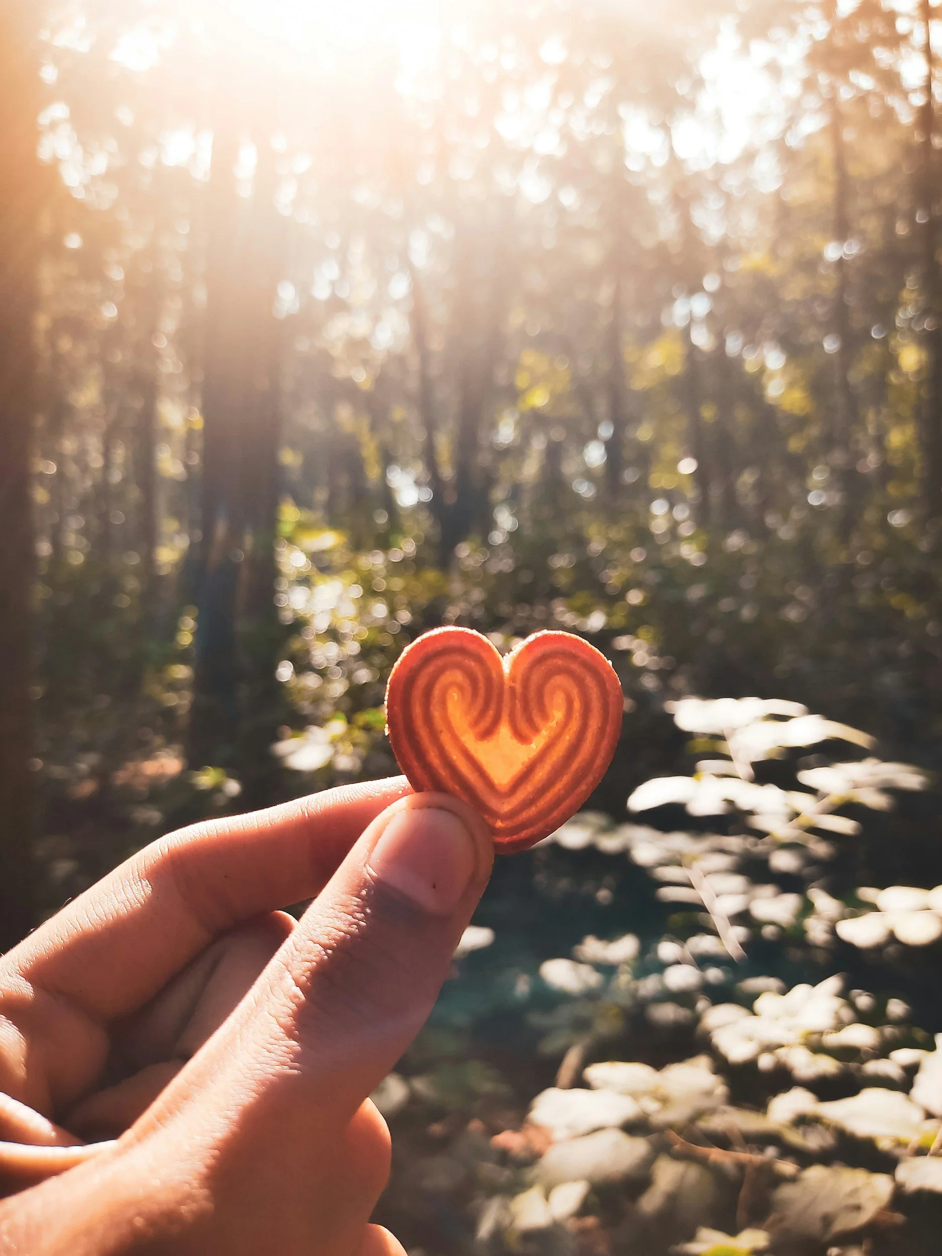 Person holding a small heart-shaped object with a wood grain pattern in a forest during sunset, with sunlight filtering through trees in the background.