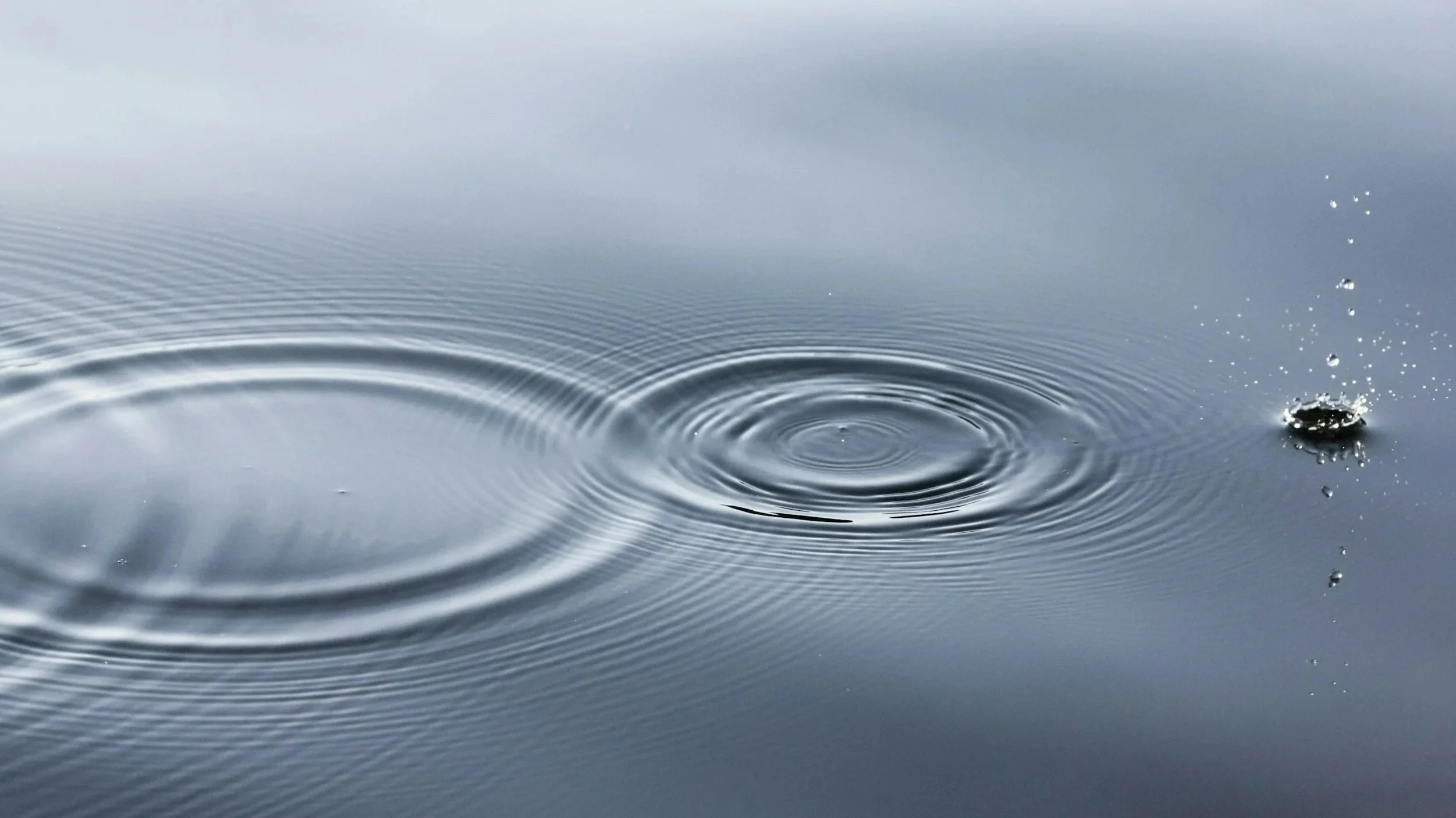 Close-up of water surface with ripples and a small drop splashing into the water.