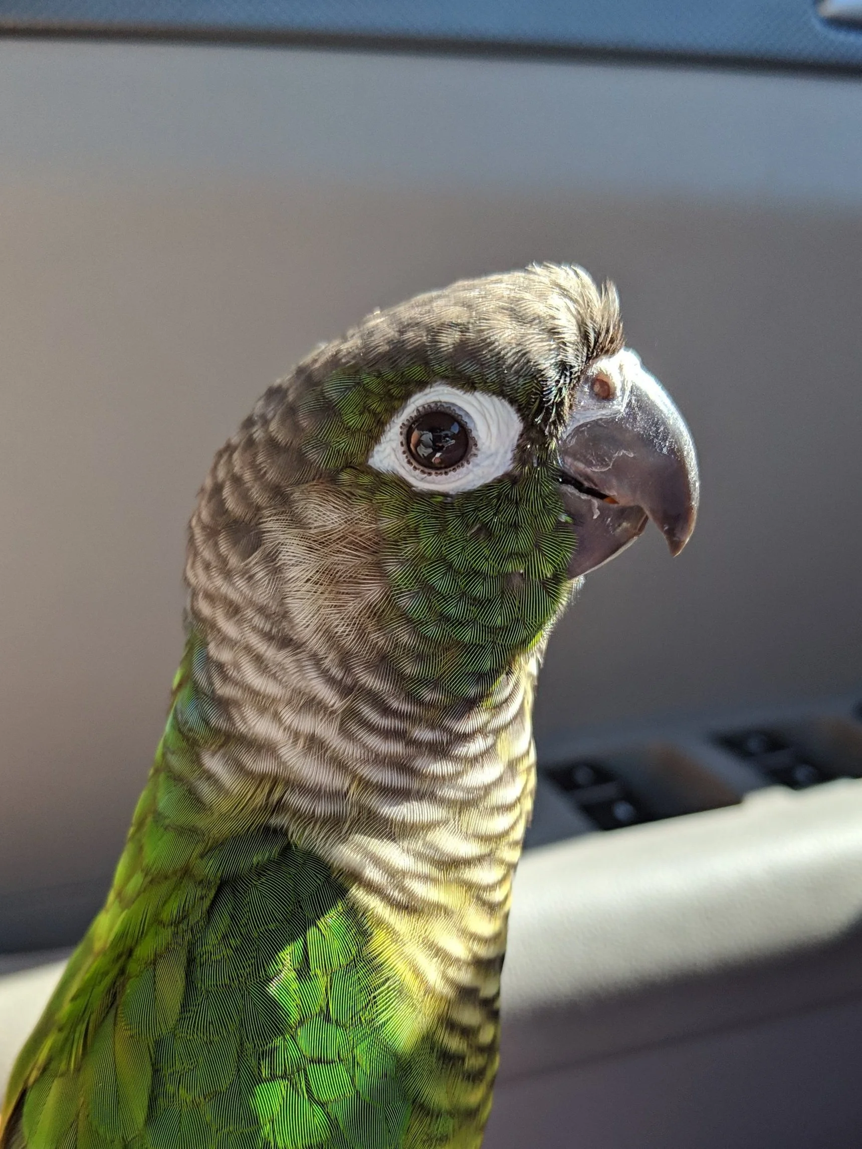MVIMG_20190219_104643.jpg