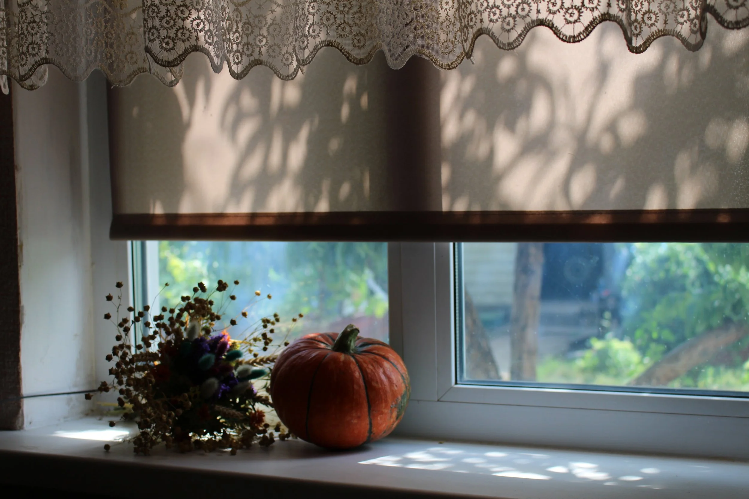 Noticing the Little Things Before Thanksgiving