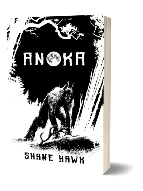 Hawk_Anoka_3DP.png