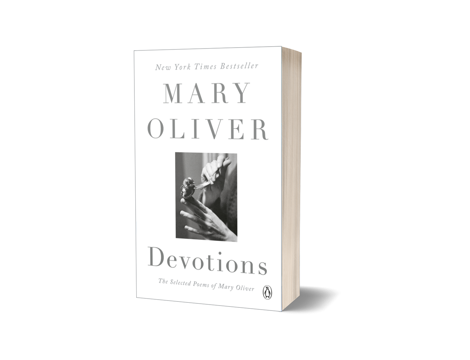 Devotions - Oliver 3DP.png