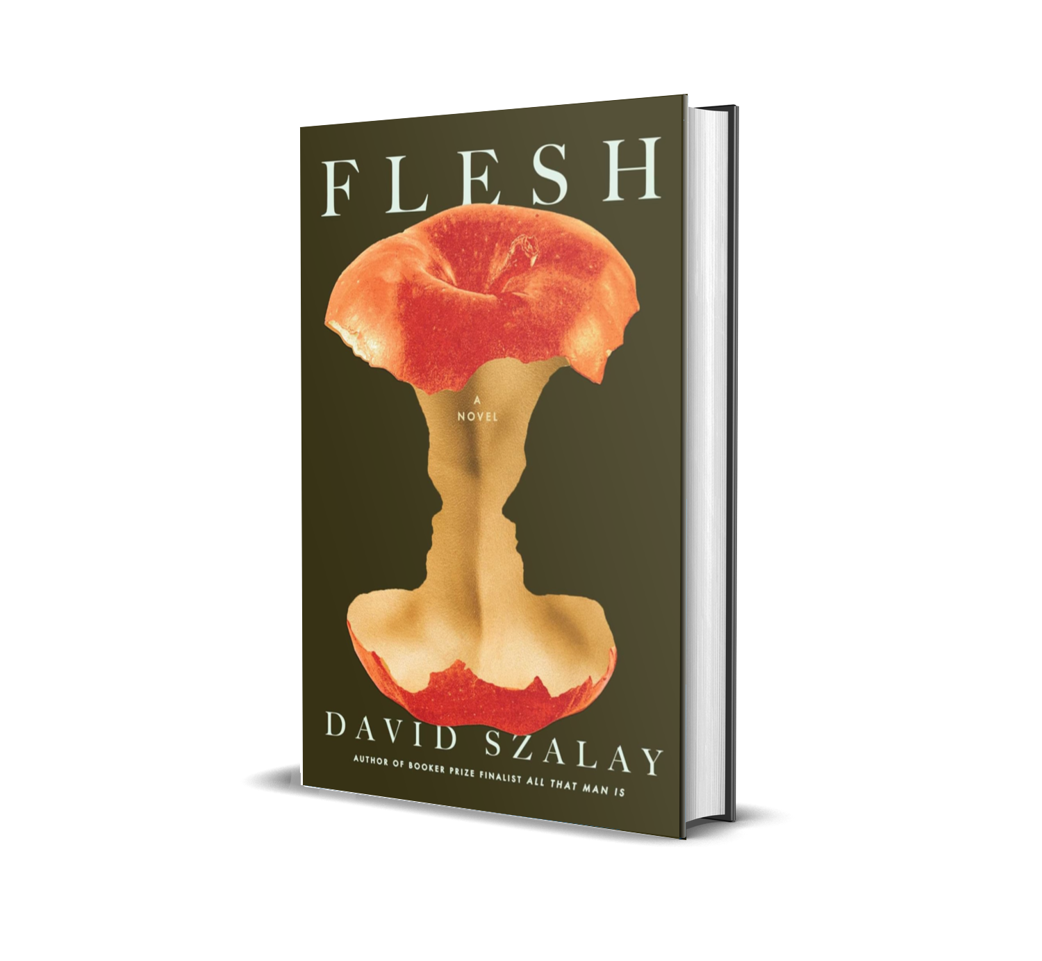 Szalay_Flesh 3DH.png
