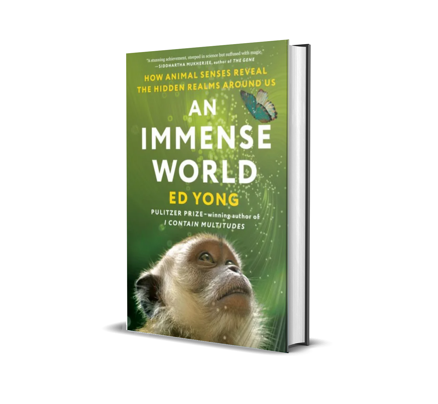 An Immense World: How Animal Senses Reveal the Hidden Realms around Us by  Ed Yong, Paperback