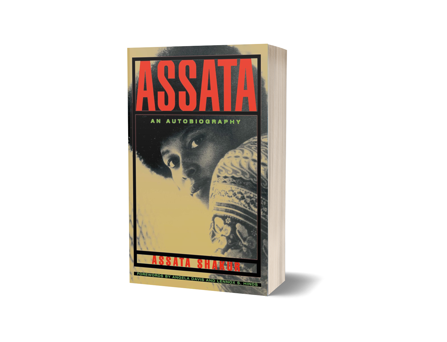 Shakur_Assata3DP.png
