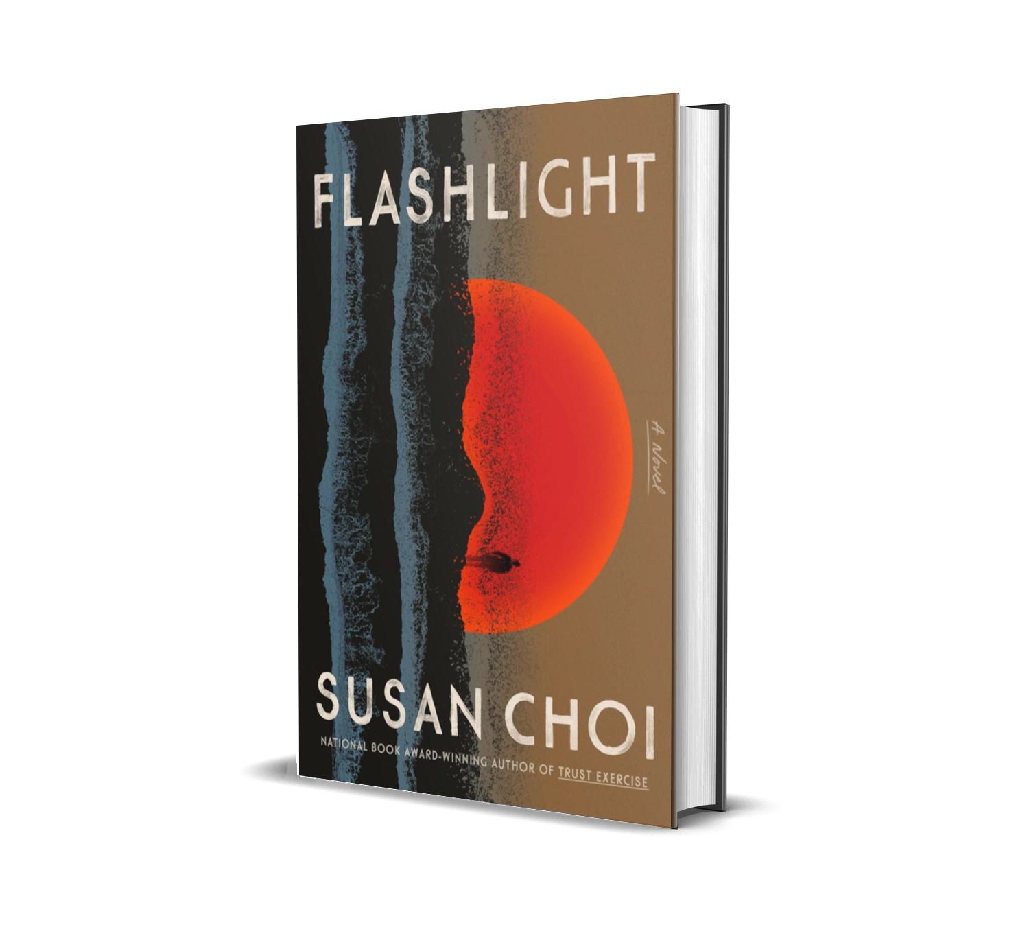 Choi_Flashlight_3DH.png
