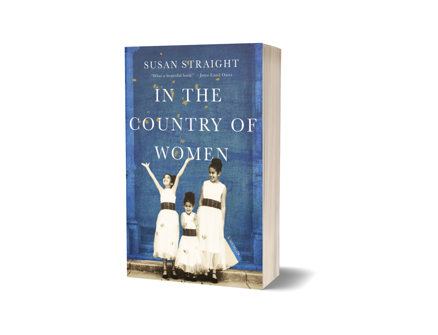 Straight_Country of Women_3DP.png