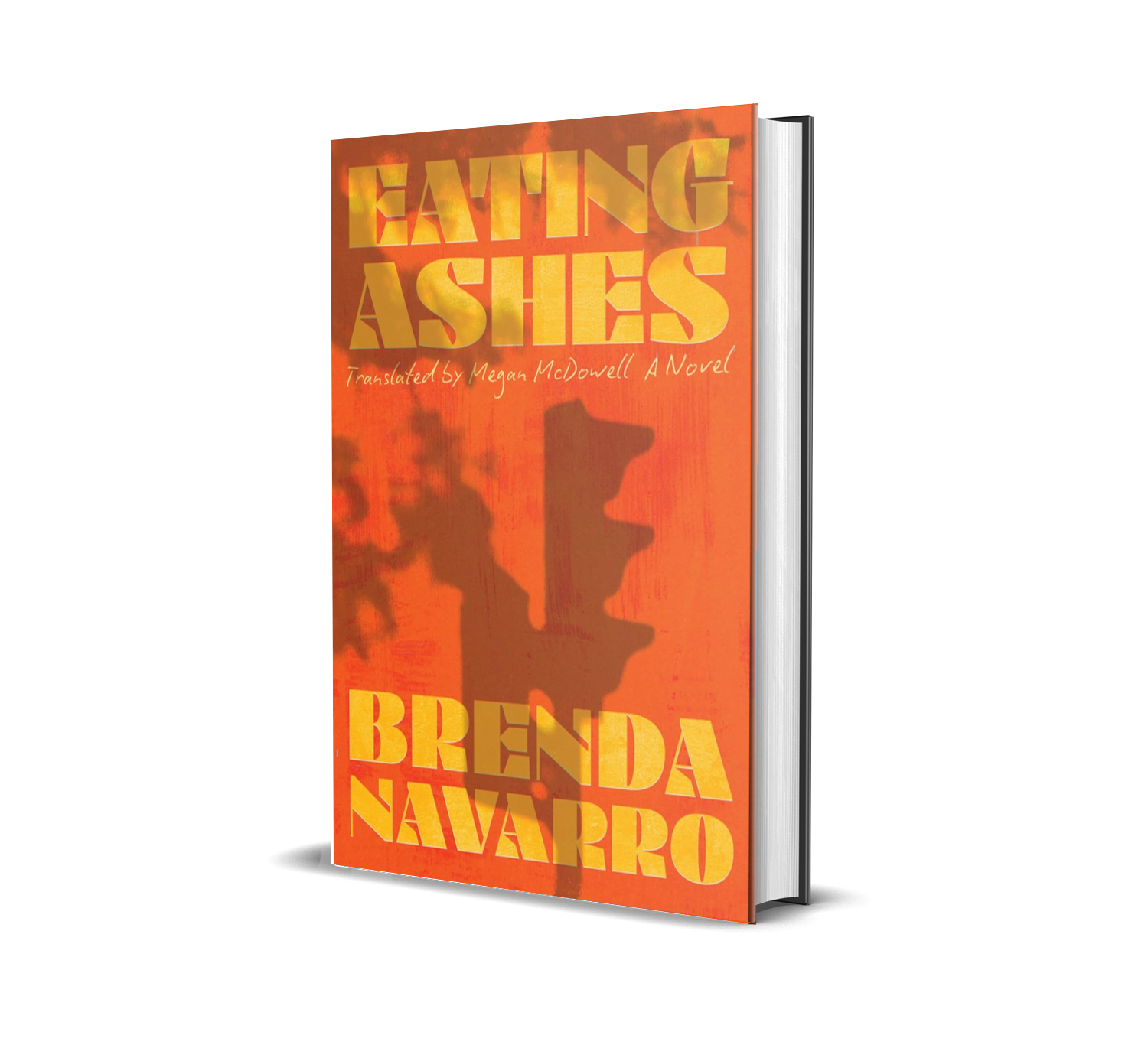 Eating Ashes by Brenda Navarro