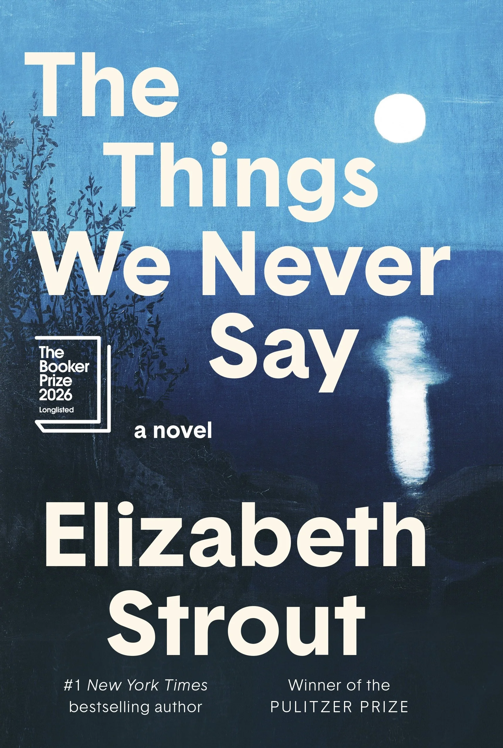 Strout_The Things We Never Say.jpg