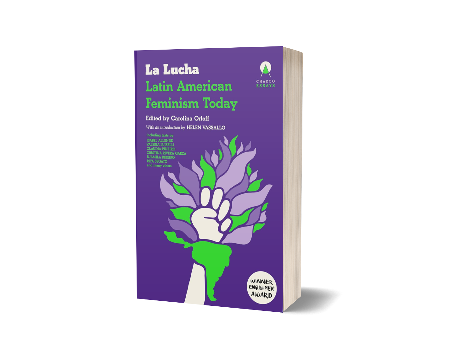 La Lucha — Latin American Feminism Today by Carolina Orloff