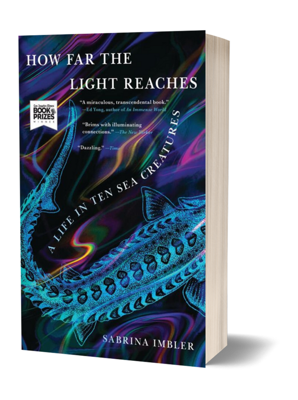 How Far the Light Reaches by Sabrina Imbler
