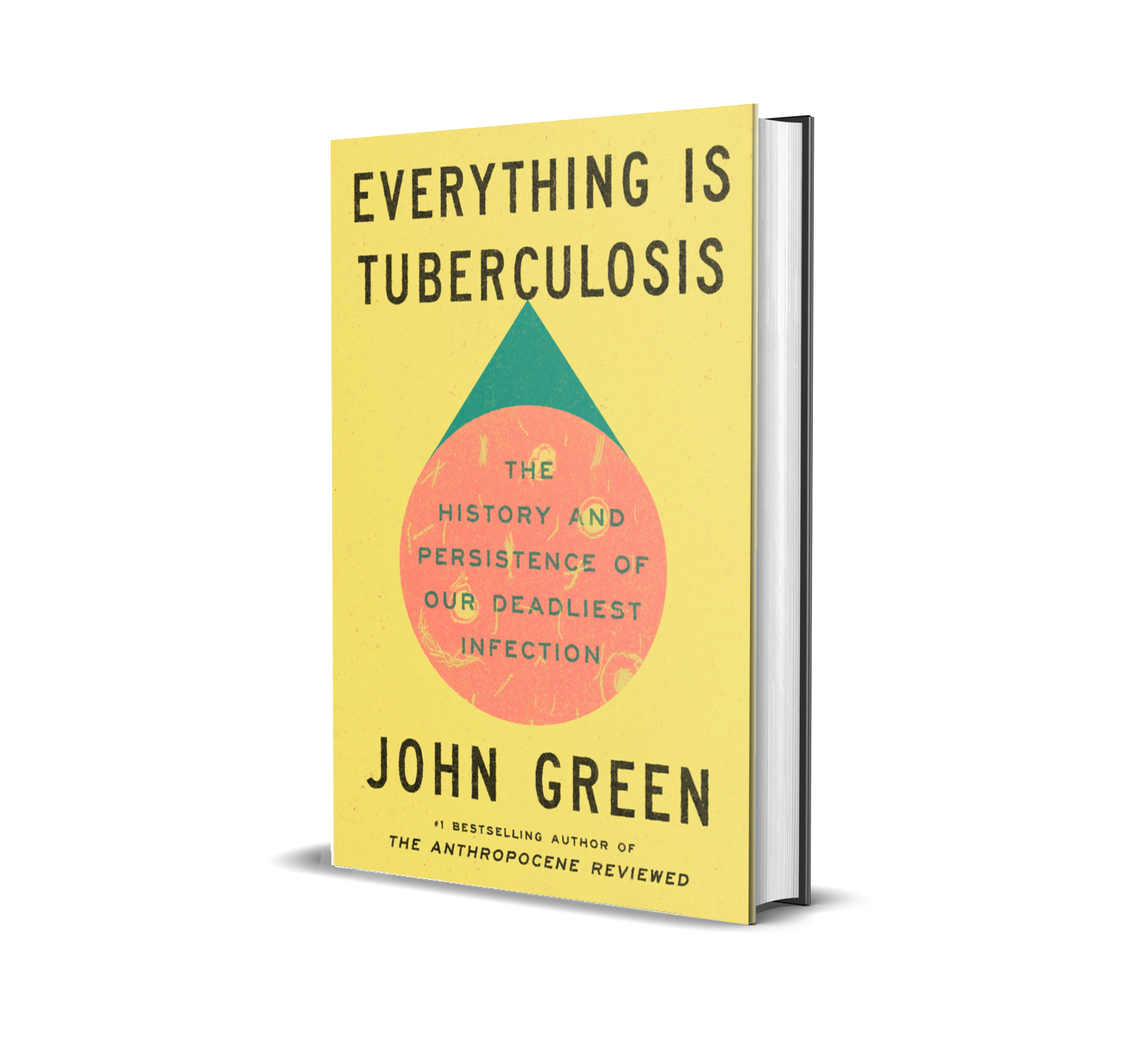 Everything Is Tuberculosis by John Green