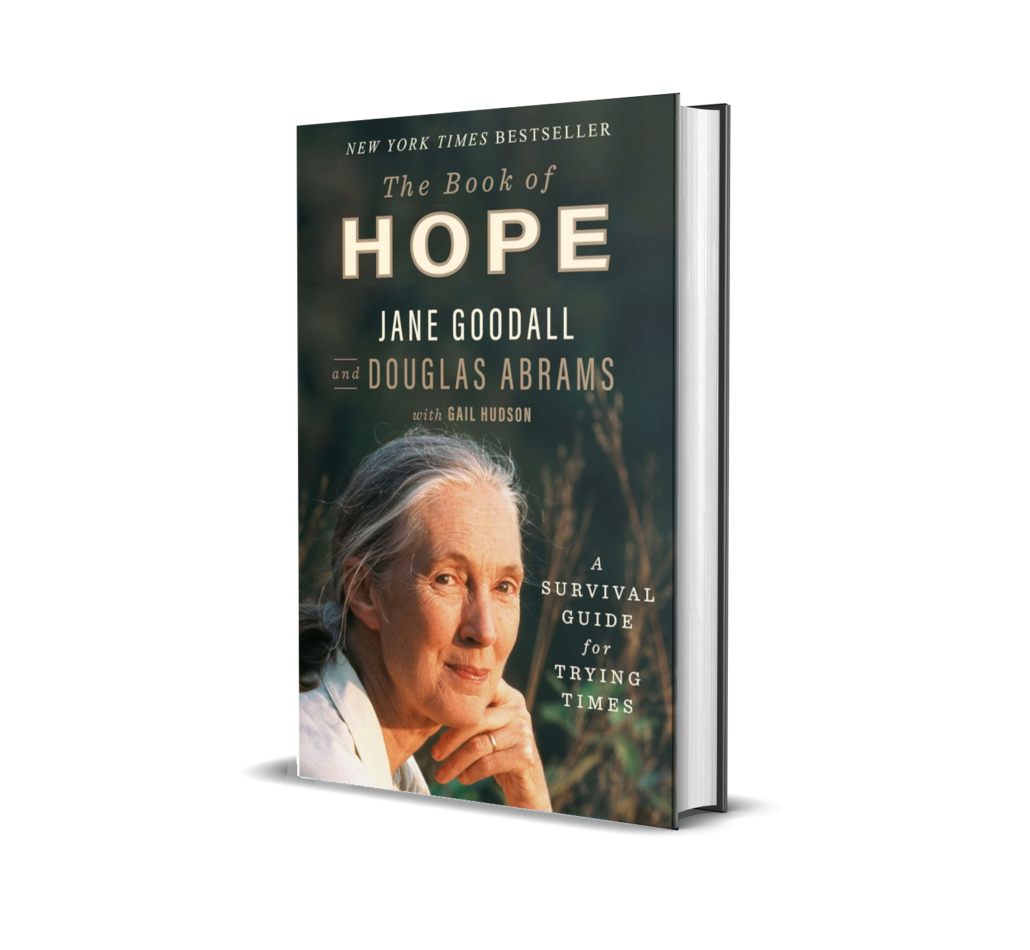 Goodall_The Book of Hope- A Survival Guide for Trying Times_3DH.png