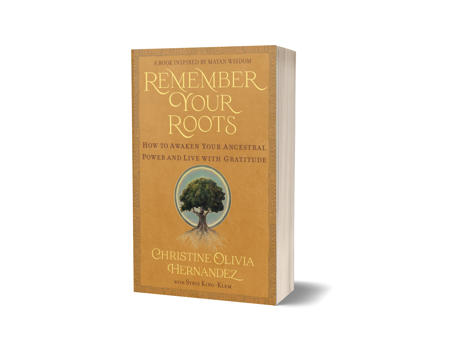 Hernandez_Remember Your Roots_3DP.png