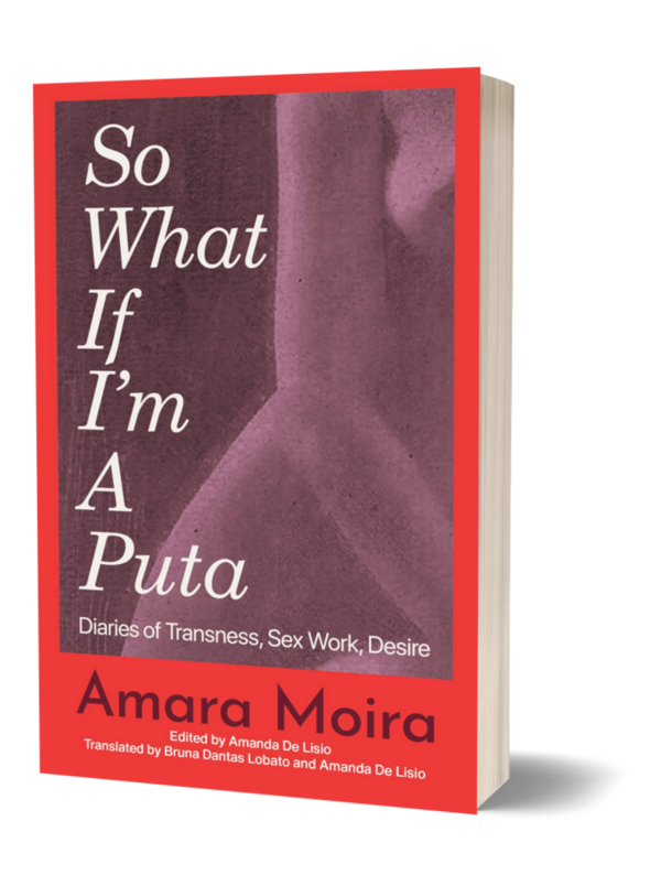 So What If I’m a Puta? Diaries of Transness, Sex Work, Desire by Amara Moira