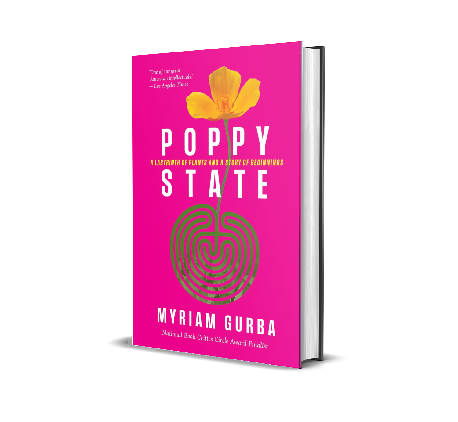 Poppy State - GURBA 3DH.png