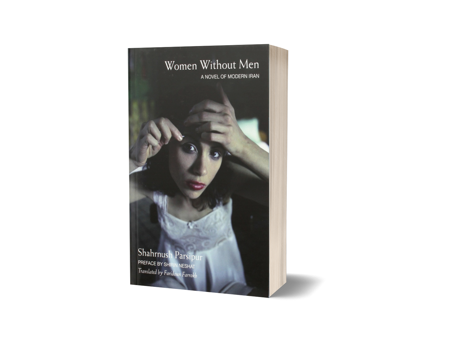 Parsipur_Women Without Men_3DP.png