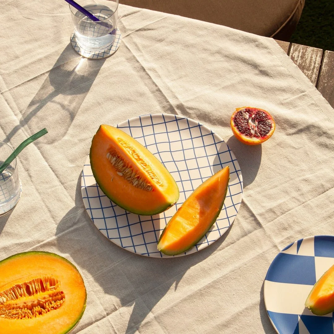 Cute Picnic Plates