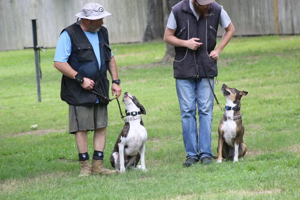 Gallery — Circle K9