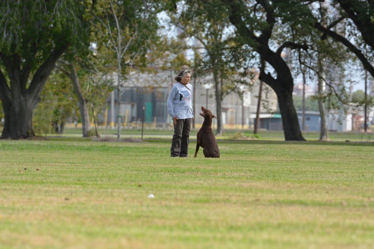 Gallery — Circle K9