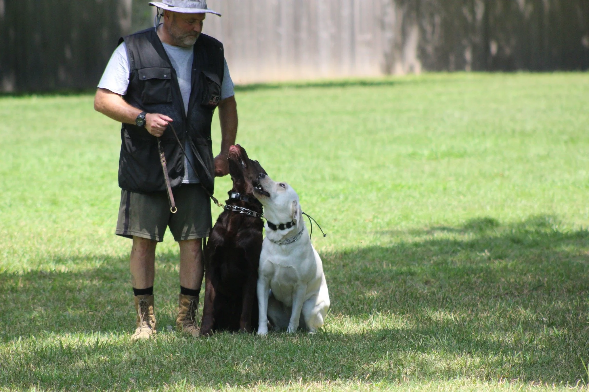 Gallery — Circle K9