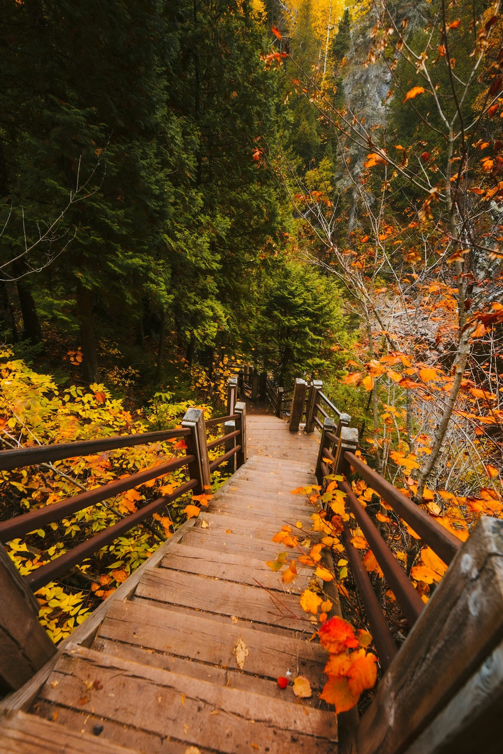 Fall Break