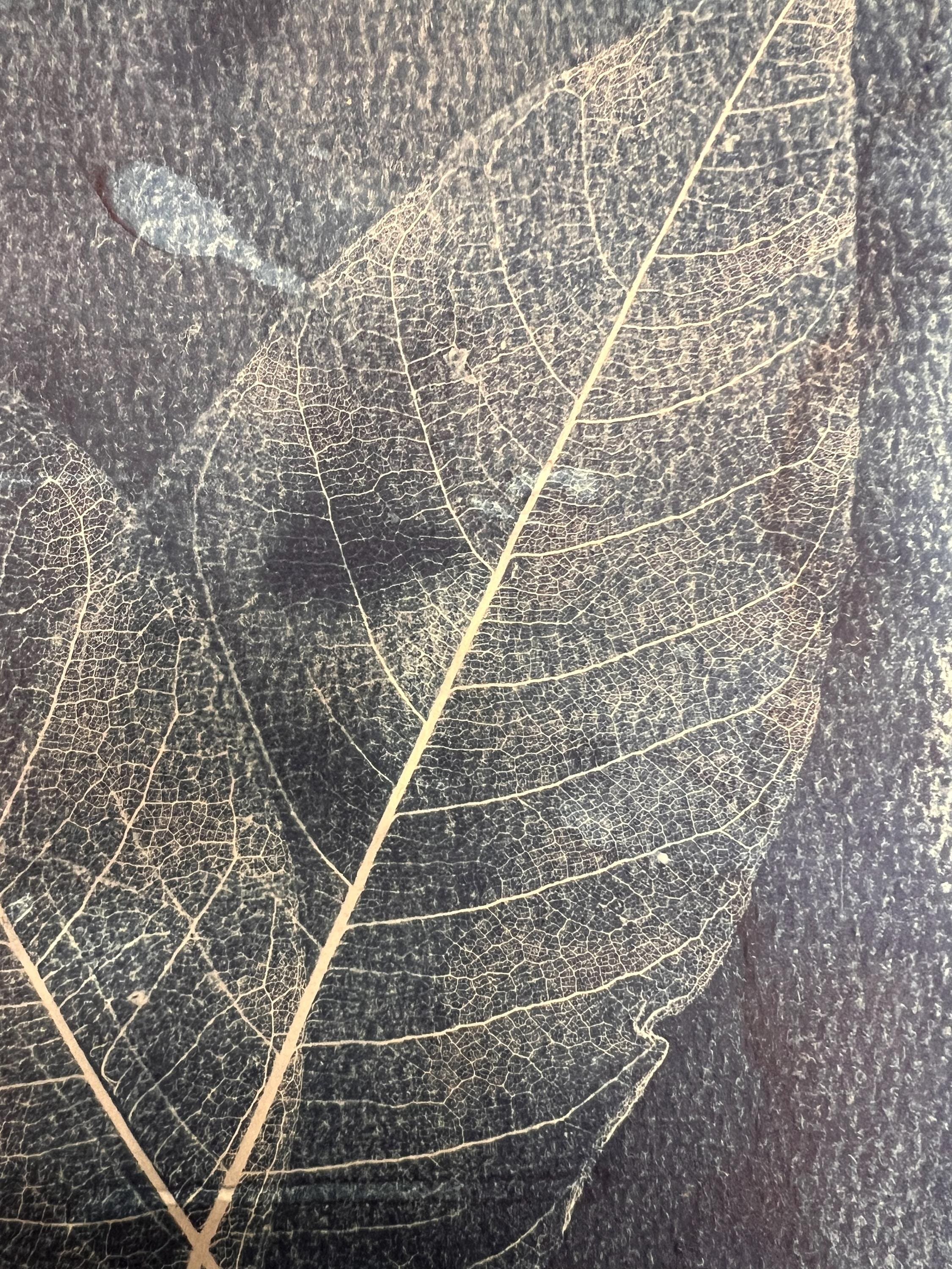 https://i.etsystatic.com/46652612/r/il/ce7a40/6506021698/il_fullxfull.6506021698_gmol.jpg