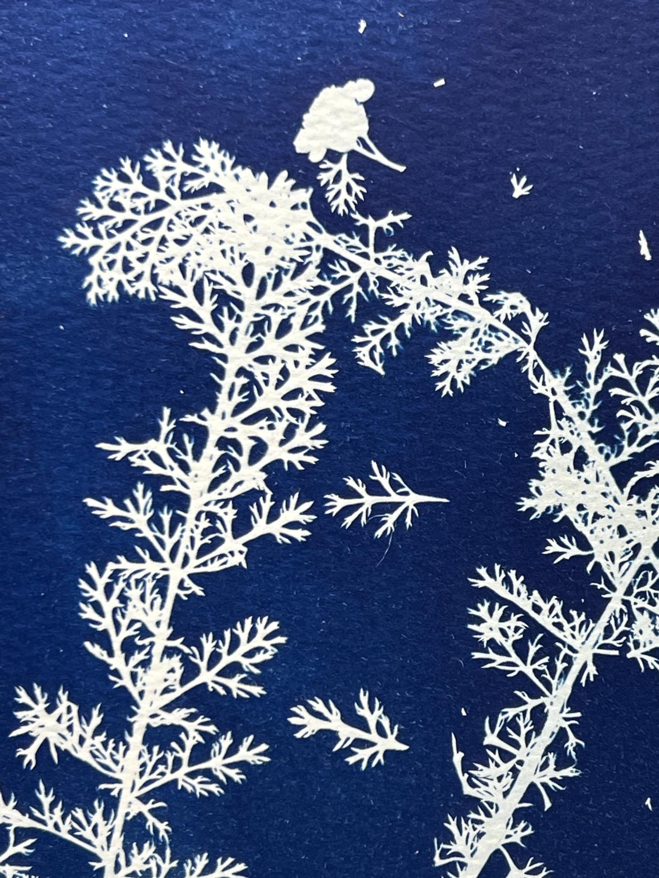 https://i.etsystatic.com/46652612/r/il/060881/6519891544/il_fullxfull.6519891544_n4y8.jpg