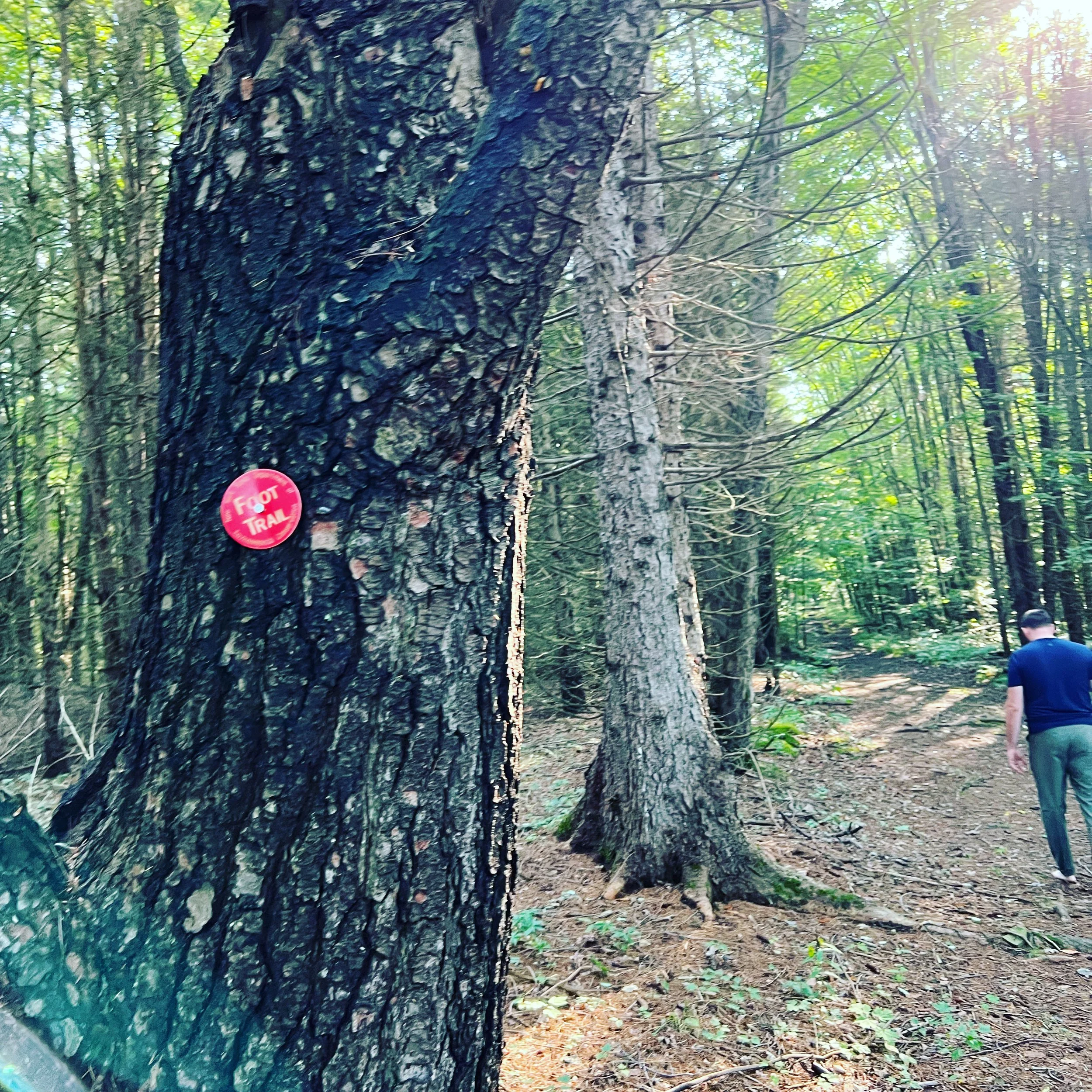 Barefoot "fox-walking" in the 2022 Summer A.S.P.E.N. group