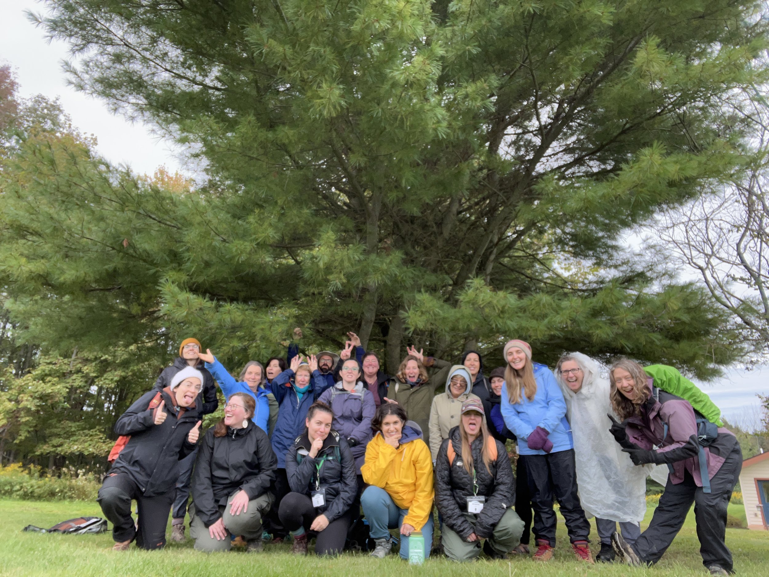 In all of our luminous, silly, wild glory