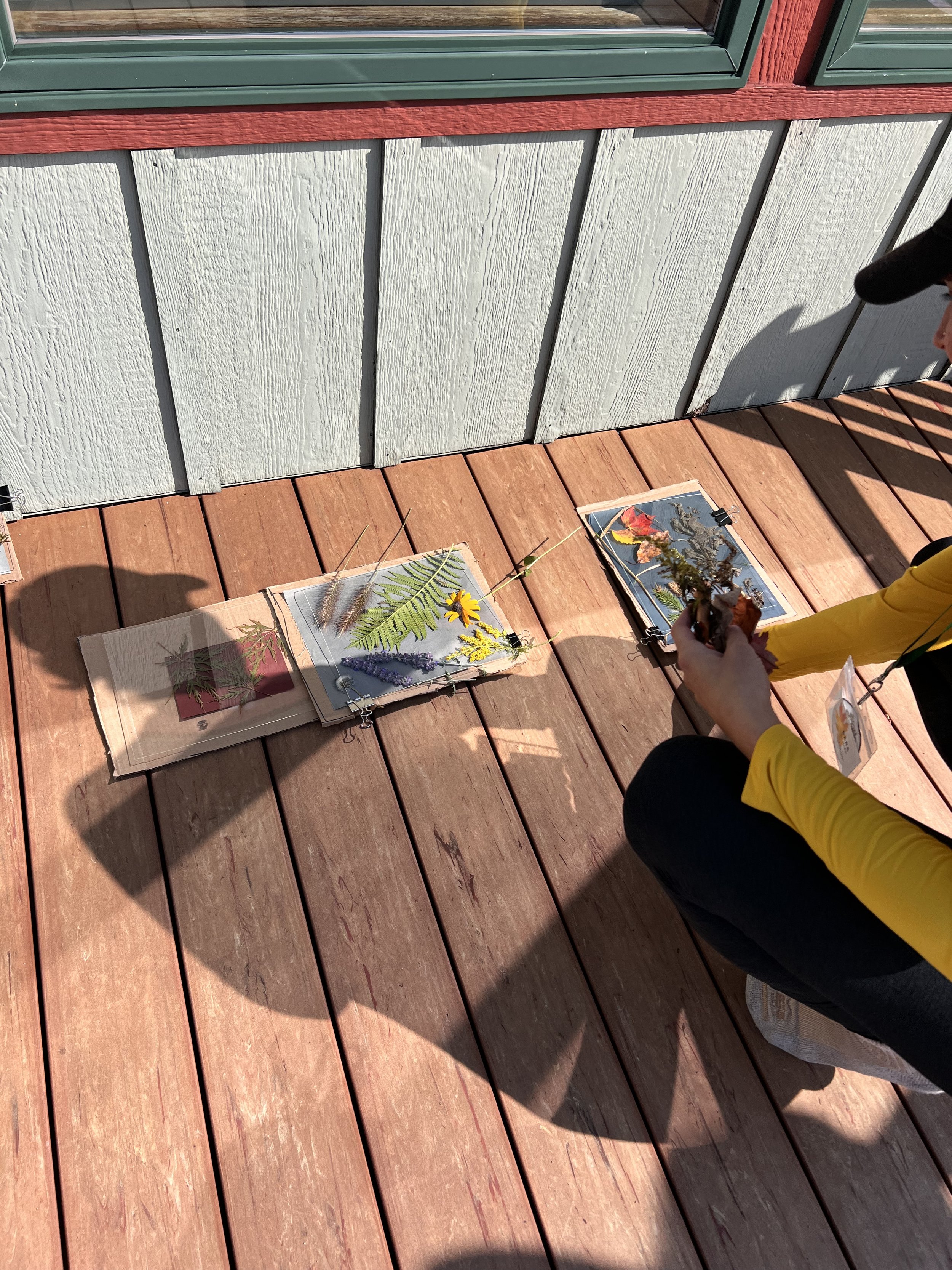 Making sunprints