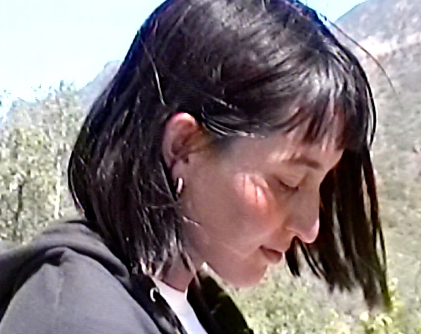Day Trippers: Frankie Harrer