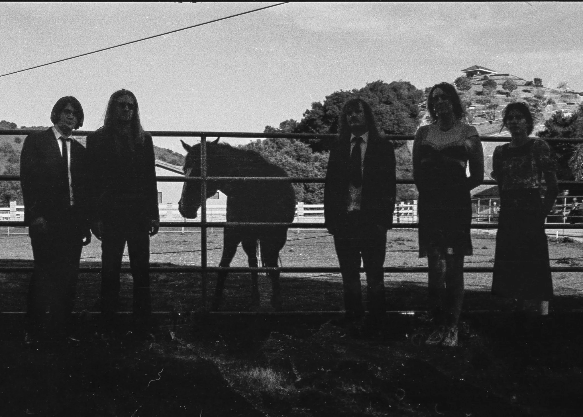 A Band You Should Know: Shearling